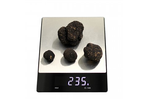 Wie wird die Qualität von Trüffeln bestimmt?