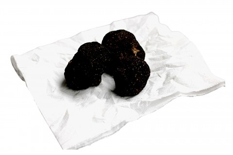 Wie lagere ich schwarze Trüffel?