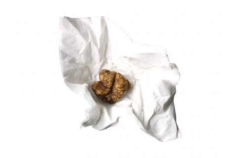 Wie werden weiße Trüffel gelagert?