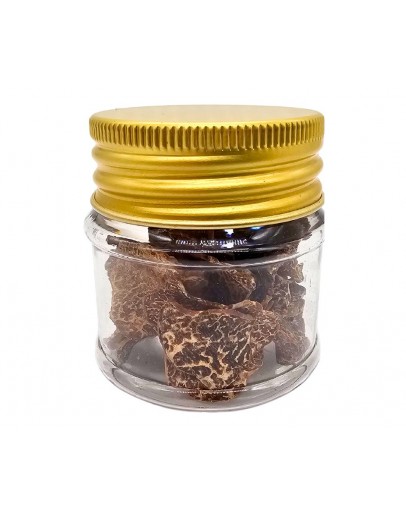 Getrockneter weißer Frühlingstrüffel – Tuber Borchii Bild