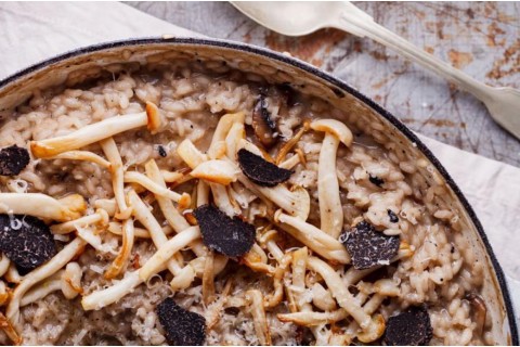 Mit Trüffel gefüllte Penne