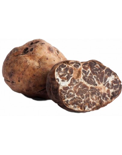 Bild wird angezeigt für Frische Weiße Trüffel | Tuber Borchii (A-qualität) Frische Weiße Trüffel | Tuber Borchii (A-qualität) Bild