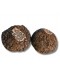 Frische Schwarze Trüffel | Tuber Melanosporum (Trüffel Stücke)