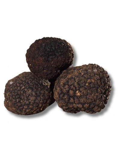 Frische Schwarze Trüffel | Tuber Melanosporum (B-qualität) Bild