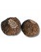 Frische Schwarze Trüffel | Tuber Melanosporum (Trüffel Stücke)
